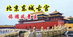 雾岛莱奥纳加班中国北京-东城古宫旅游风景区